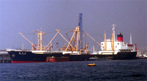 明治丸 Meiji Maru