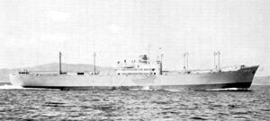 君川丸