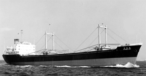 松本丸